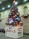 20051124_tse_christmastree_1